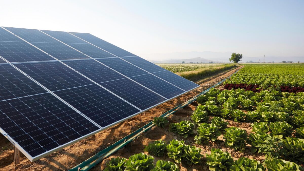 Agrivoltaico: il nuovo flop verde annunciato