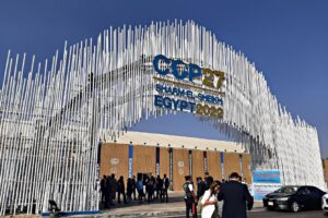 Un anno all’insegna del flop ambientalista