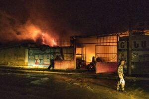Presidente Meloni, rischiamo un nuovo sterminio