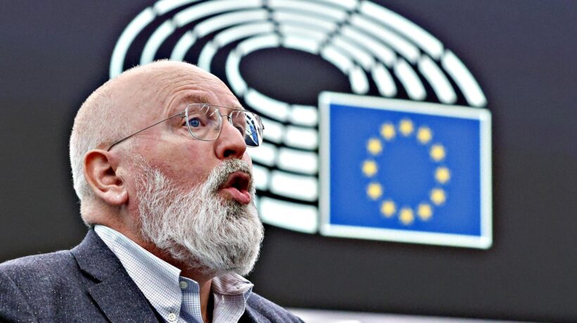 Al vaglio dell’Ue altri 13 tipi d’insetti. Presto in tavola anche mosche e api