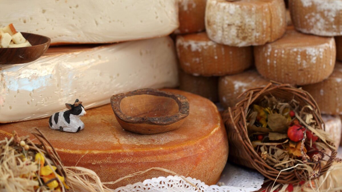 Fontina. Il simbolo della Valle d’Aosta che nasce in vetta ed è grande fonte di fermenti vivi