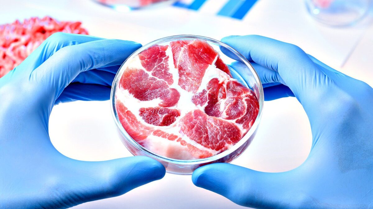 «Con la carne sintetica il cibo finirà in mano a Big Pharma»