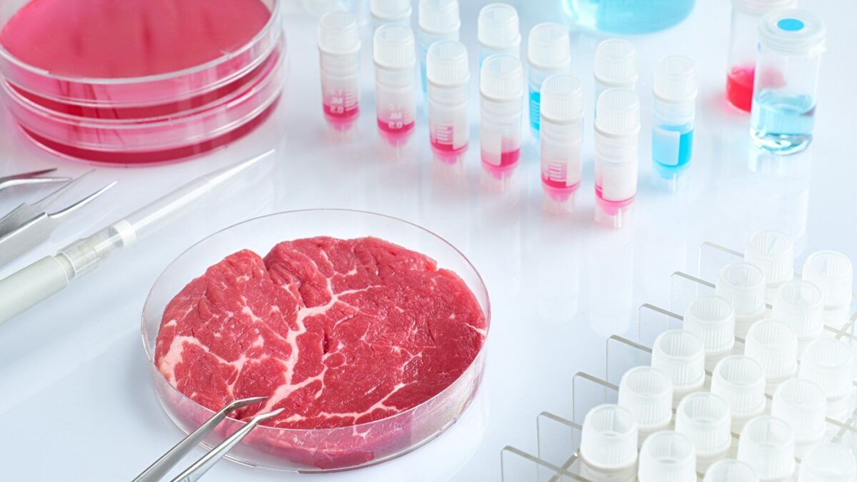 L’Italia vieta di produrre carne e alimenti in provetta. Maxi multe e confische