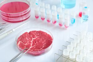 L’Italia vieta di produrre carne e alimenti in provetta. Maxi multe e confische
