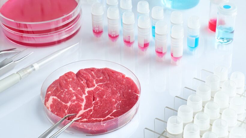 L’Italia vieta di produrre carne e alimenti in provetta. Maxi multe e confische