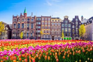 Viaggio tra i fiori più belli d’Europa