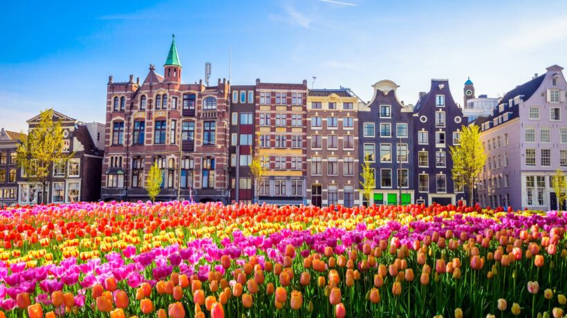 Viaggio tra i fiori più belli d’Europa