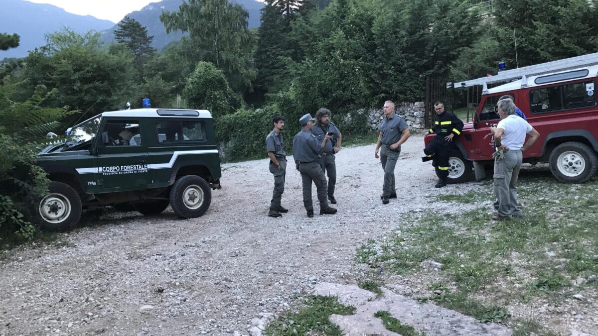 Il Tar salva l’orsa dopo gli abbagli degli uomini