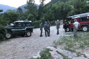 Il Tar salva l’orsa dopo gli abbagli degli uomini