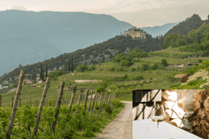 In Trentino la Pasqua porta con sé il miracolo enologico del vino santo