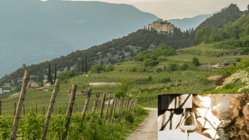 In Trentino la Pasqua porta con sé il miracolo enologico del vino santo