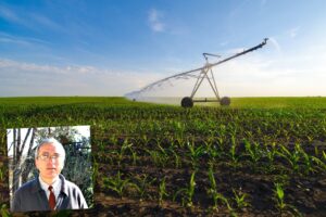 «Macché crisi, l’agricoltura è in crescita»