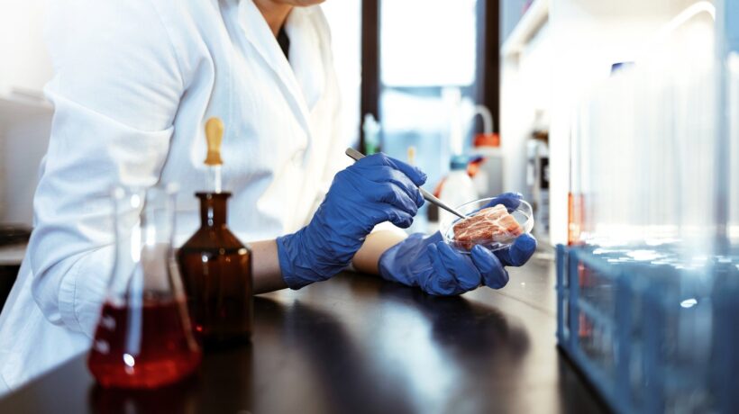 Ma pure gli amministratori di sinistra hanno   capito che quel cibo è fregatura