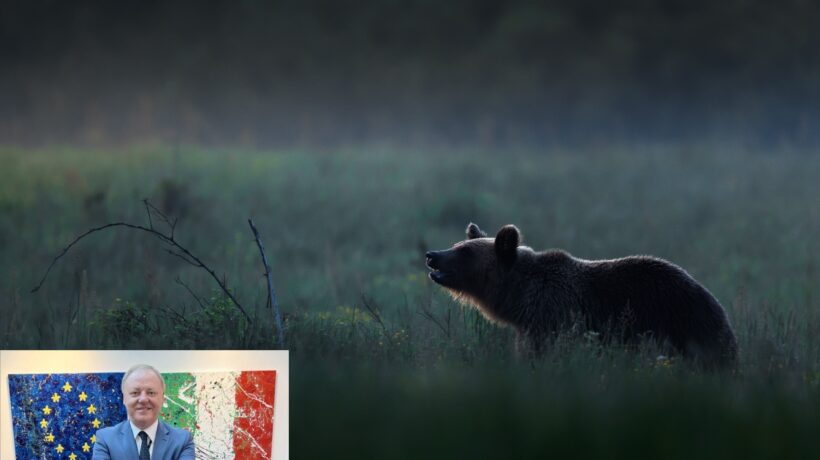 Berlato: «Abbattimento dell’orso trentino, io sono pronto»