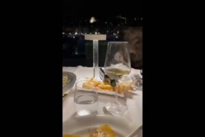 In Danimarca premiano i cacciatori. In Liguria i cinghiali arrivano fino al ristorante