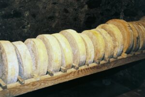 Nell’antica valle dei Celti cominciano i giorni del Bitto