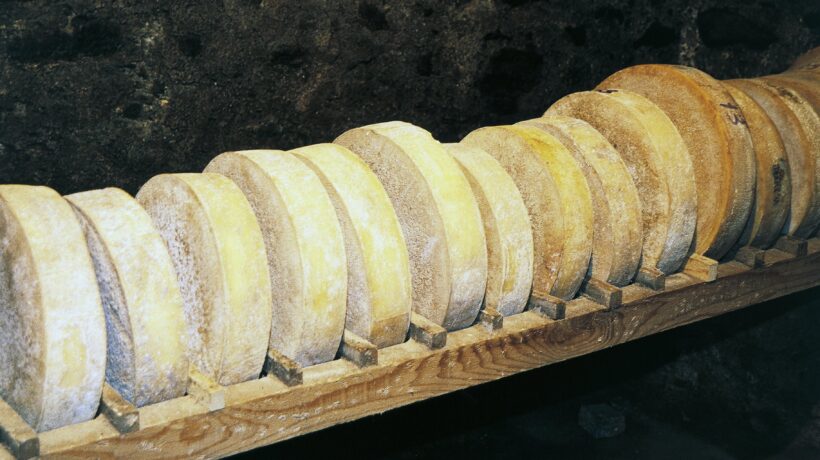 Nell’antica valle dei Celti cominciano i giorni del Bitto