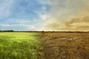 «Sul clima scienziati sicuri al 97%». Così nasce la balla sulle colpe umane