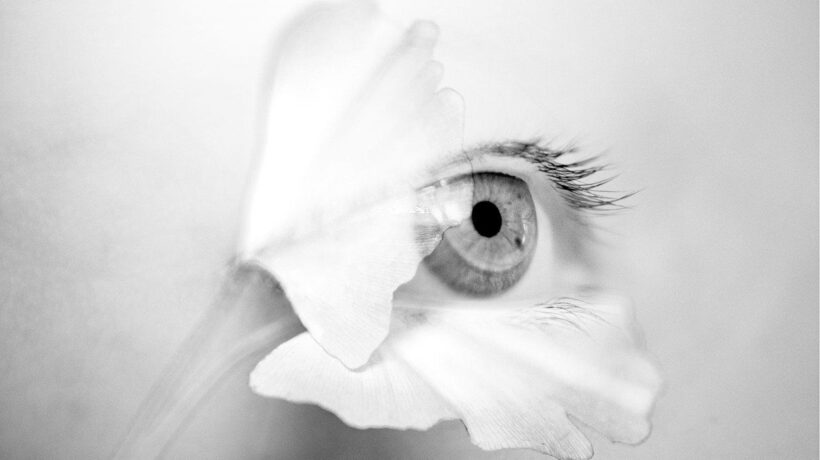Brescia Photo Festival 2023
