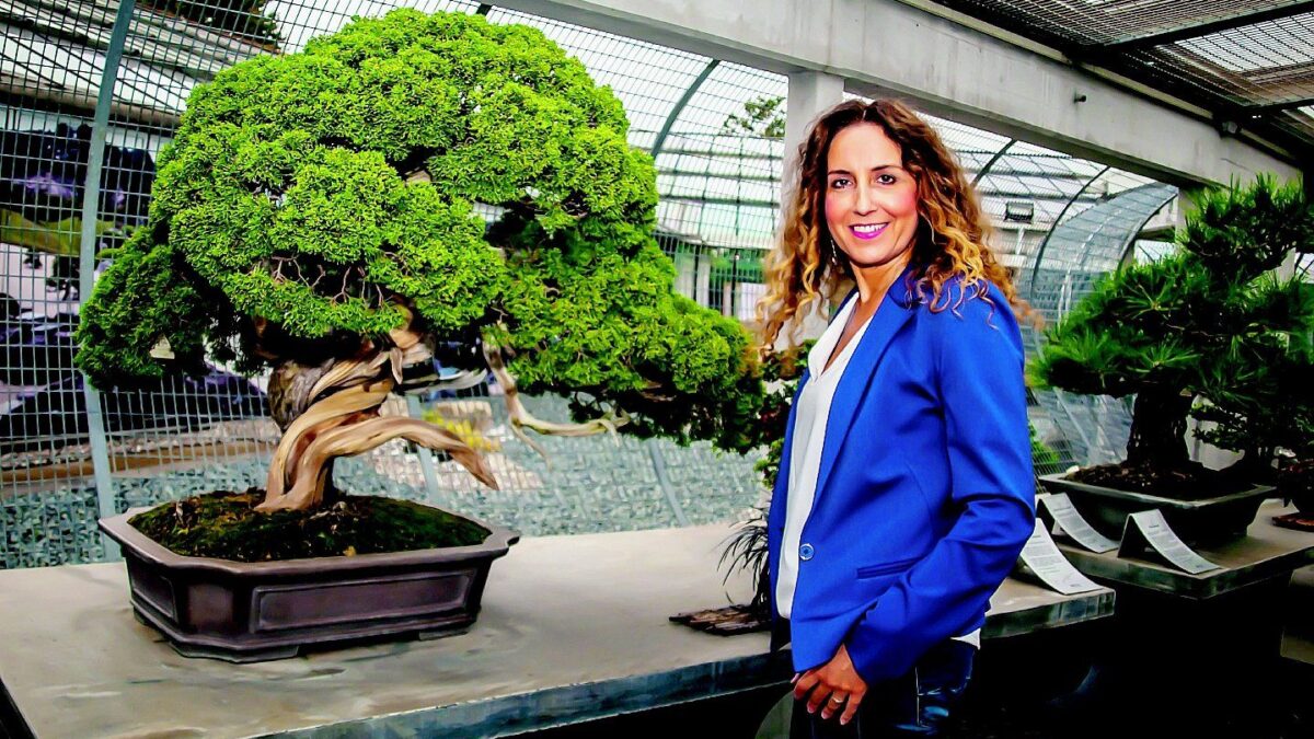 «Sono cresciuta a pane e bonsai. Il ficus millenario è uno di famiglia»