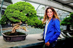 «Sono cresciuta a pane e bonsai. Il ficus millenario è uno di famiglia»