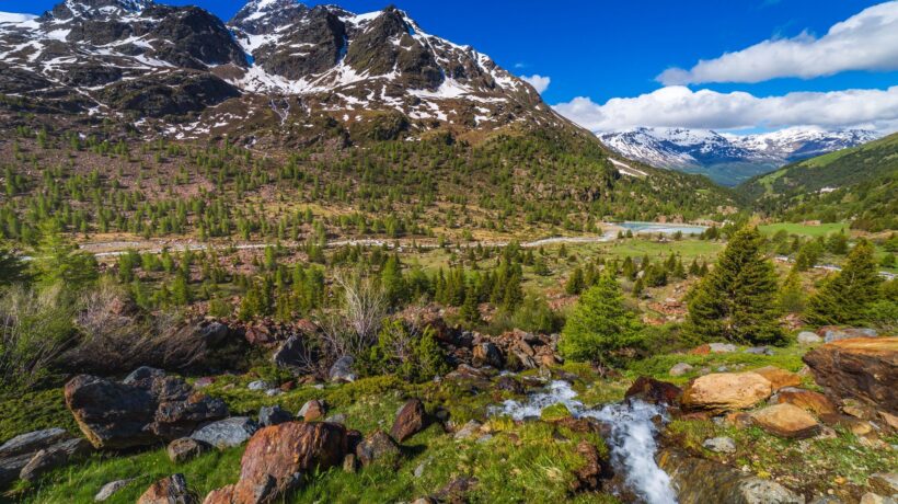 Parco Nazionale dello Stelvio (iStock)
