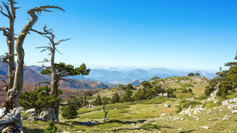 Parco Nazionale del Pollino (iStock)