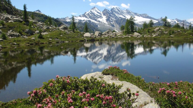 Parco Nazionale del Gran Paradiso (iStock)