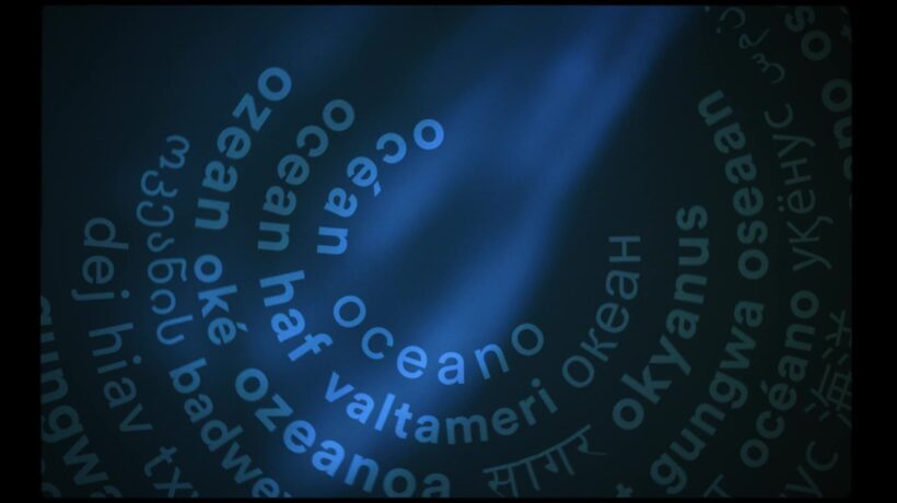 La Bocconi studia la «blue economy»
