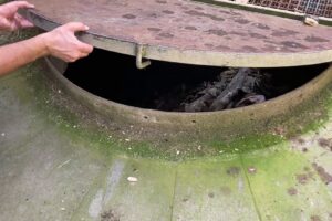 L’incuria del Flaminio offende i morti
