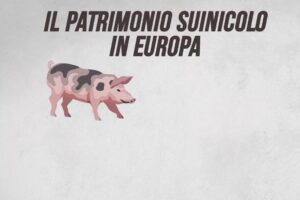 Il patrimonio suinicolo in Europa