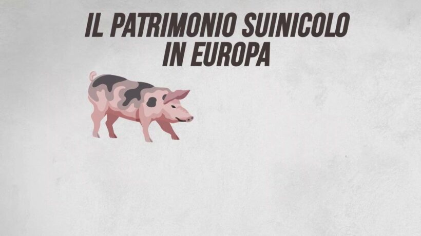 Il patrimonio suinicolo in Europa