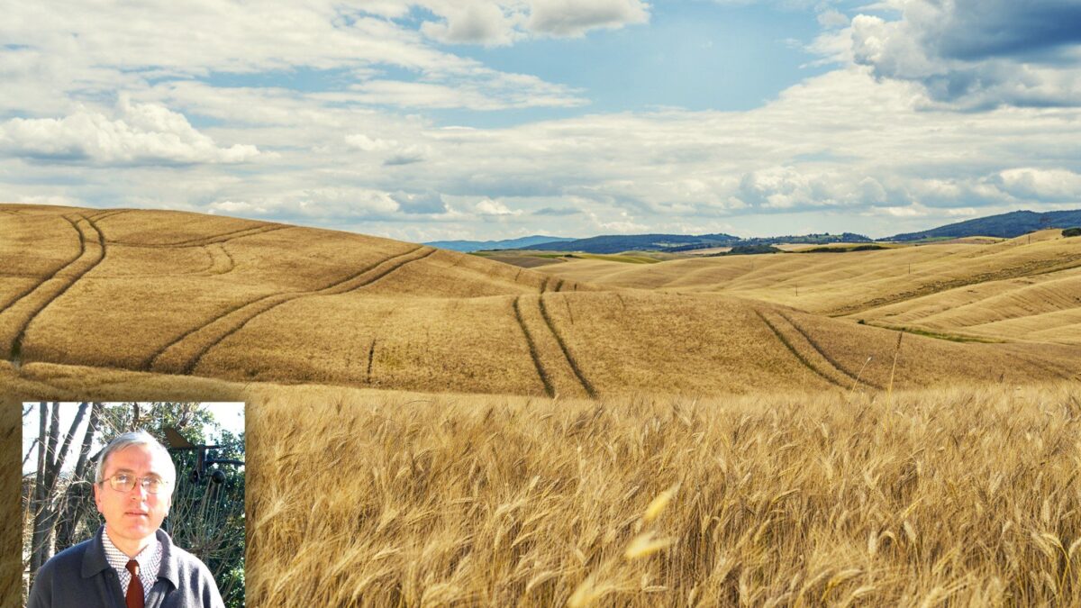 «Più agricoltura per contrastare le alluvioni»