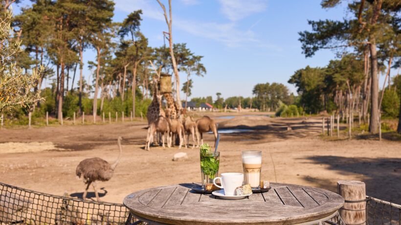I glamping più insoliti dove passare le vacanze