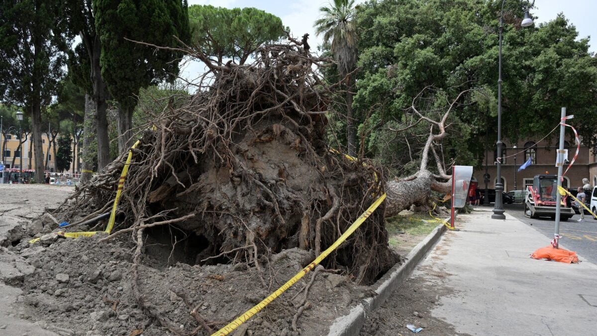 Le incredibili bugie dei «terroristi» del caldo