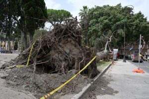 Le incredibili bugie dei «terroristi» del caldo
