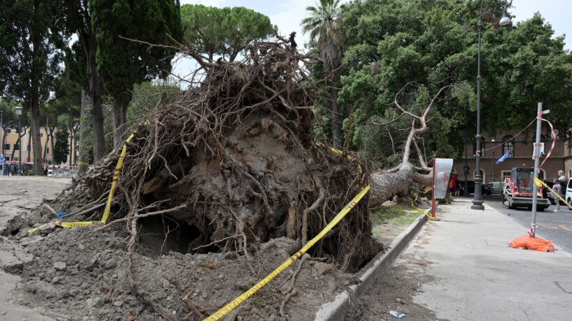 Le incredibili bugie dei «terroristi» del caldo