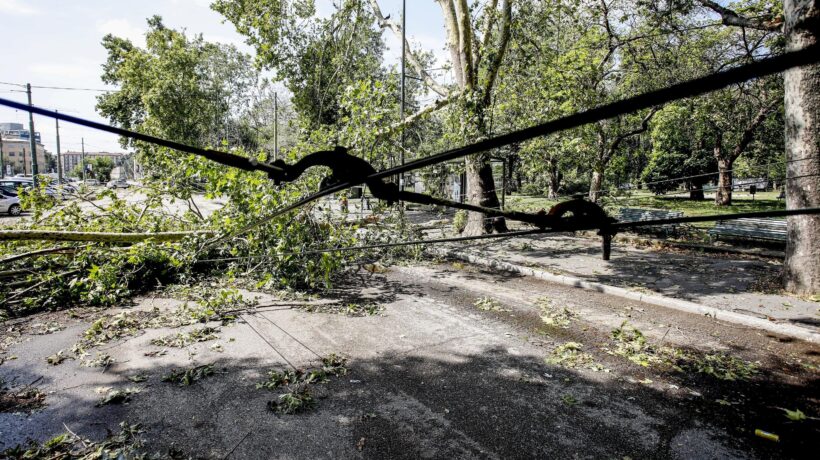 Alberi a terra e strade sbarrate. Milano ancora in tilt per il temporale