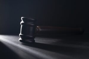 Adesso la rivoluzione ecologista vogliono imporla a colpi di sentenze