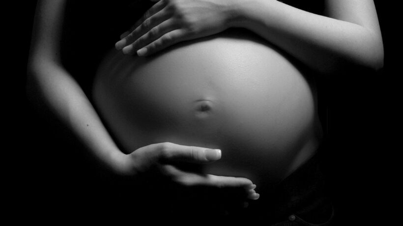 I dem scappano sull’utero in affitto. «Non votiamo l’emendamento Magi»