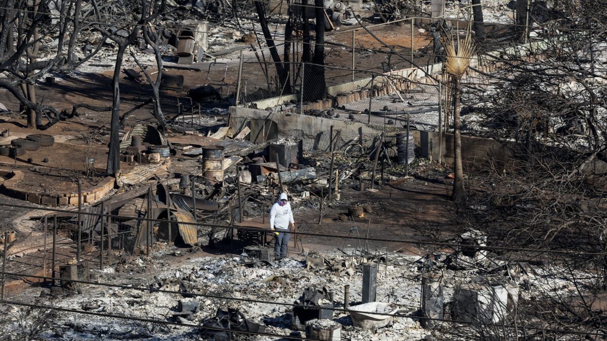 «Le erbe africane sulle terre incolte hanno causato i roghi alle Hawaii»