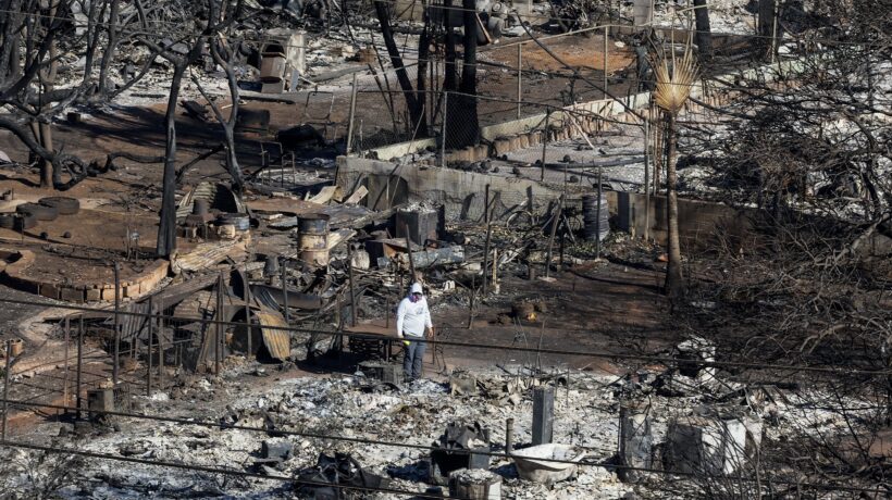 «Le erbe africane sulle terre incolte hanno causato i roghi alle Hawaii»