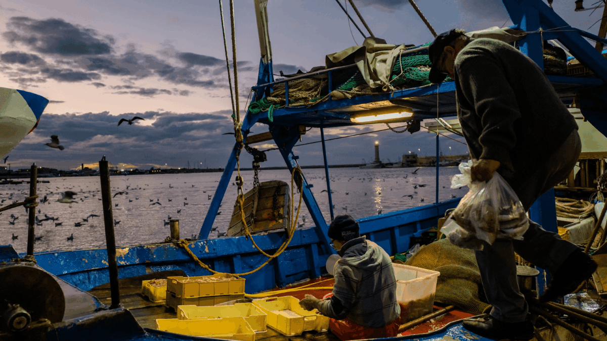 «Repubblica» scopre la nuova P2: i pescatori