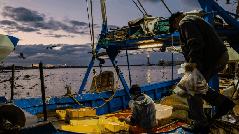 «Repubblica» scopre la nuova P2: i pescatori