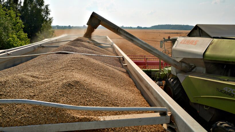 Guerra del grano in Europa orientale. Kiev fa causa a Polonia e Ungheria