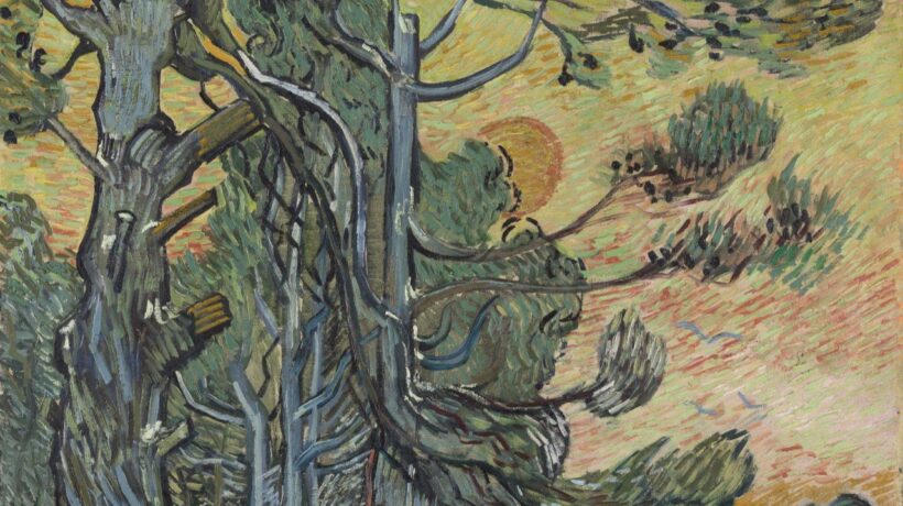 Vincent Van Gogh, cultura e arte, in mostra al MUDEC di Milano
