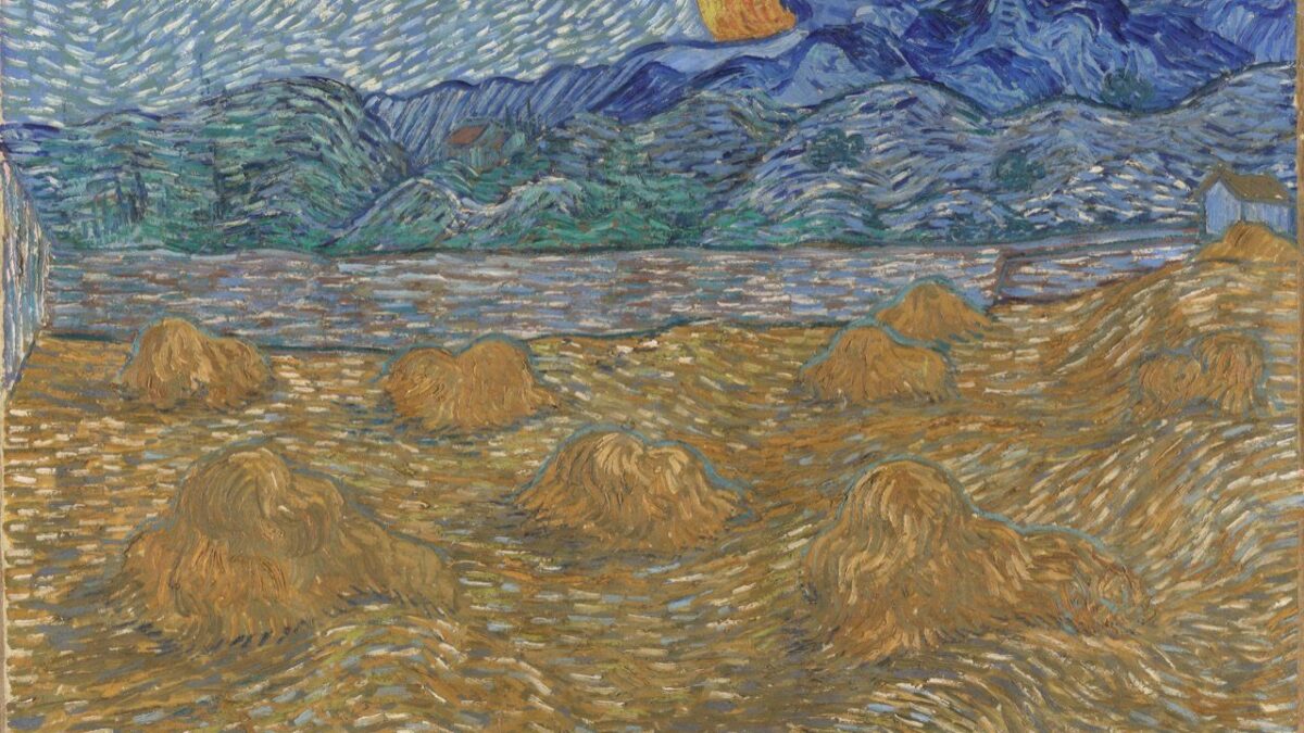 Vincent Van Gogh, cultura e arte, in mostra al MUDEC di Milano