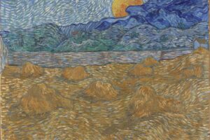 Vincent Van Gogh, cultura e arte, in mostra al MUDEC di Milano