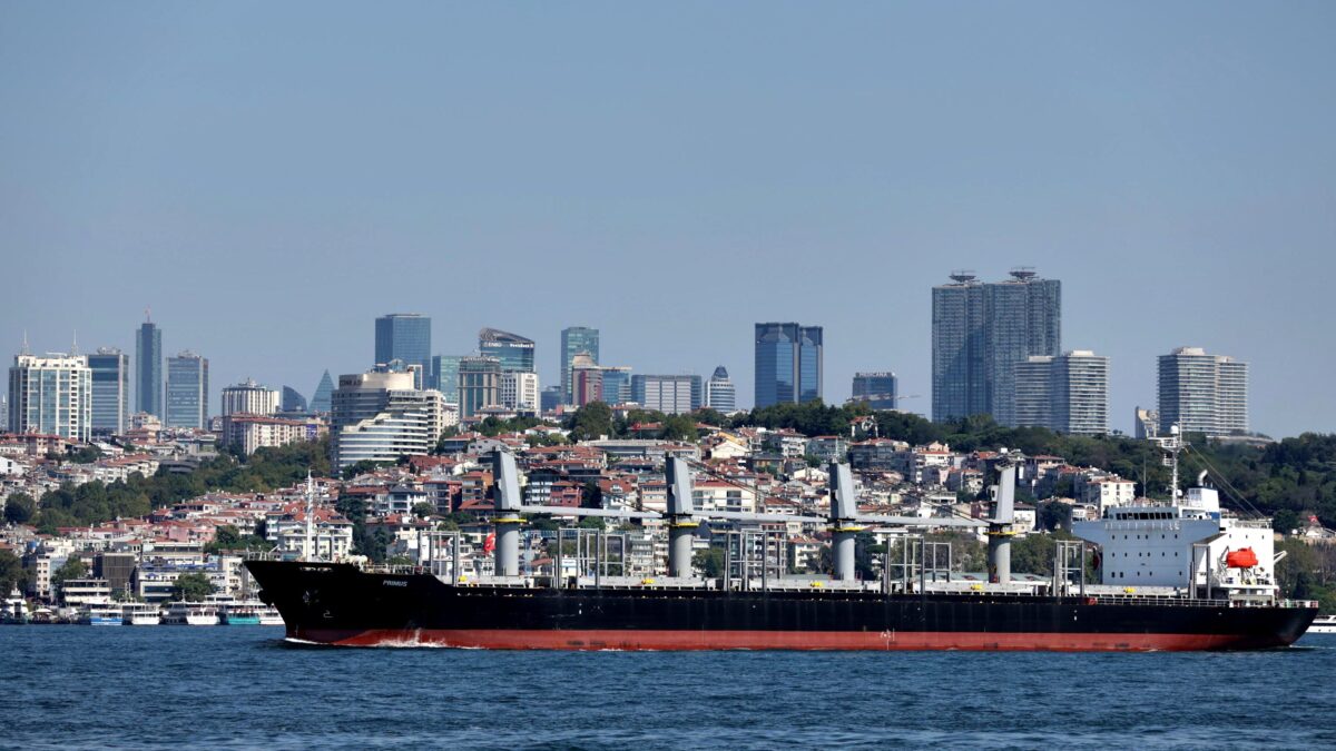 Sbloccate le navi col grano per l’Africa. Patto Mosca-Ankara sull’energia nucleare