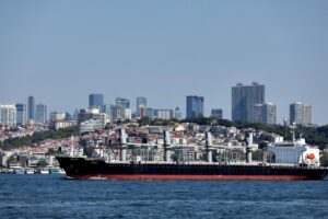 Sbloccate le navi col grano per l’Africa. Patto Mosca-Ankara sull’energia nucleare